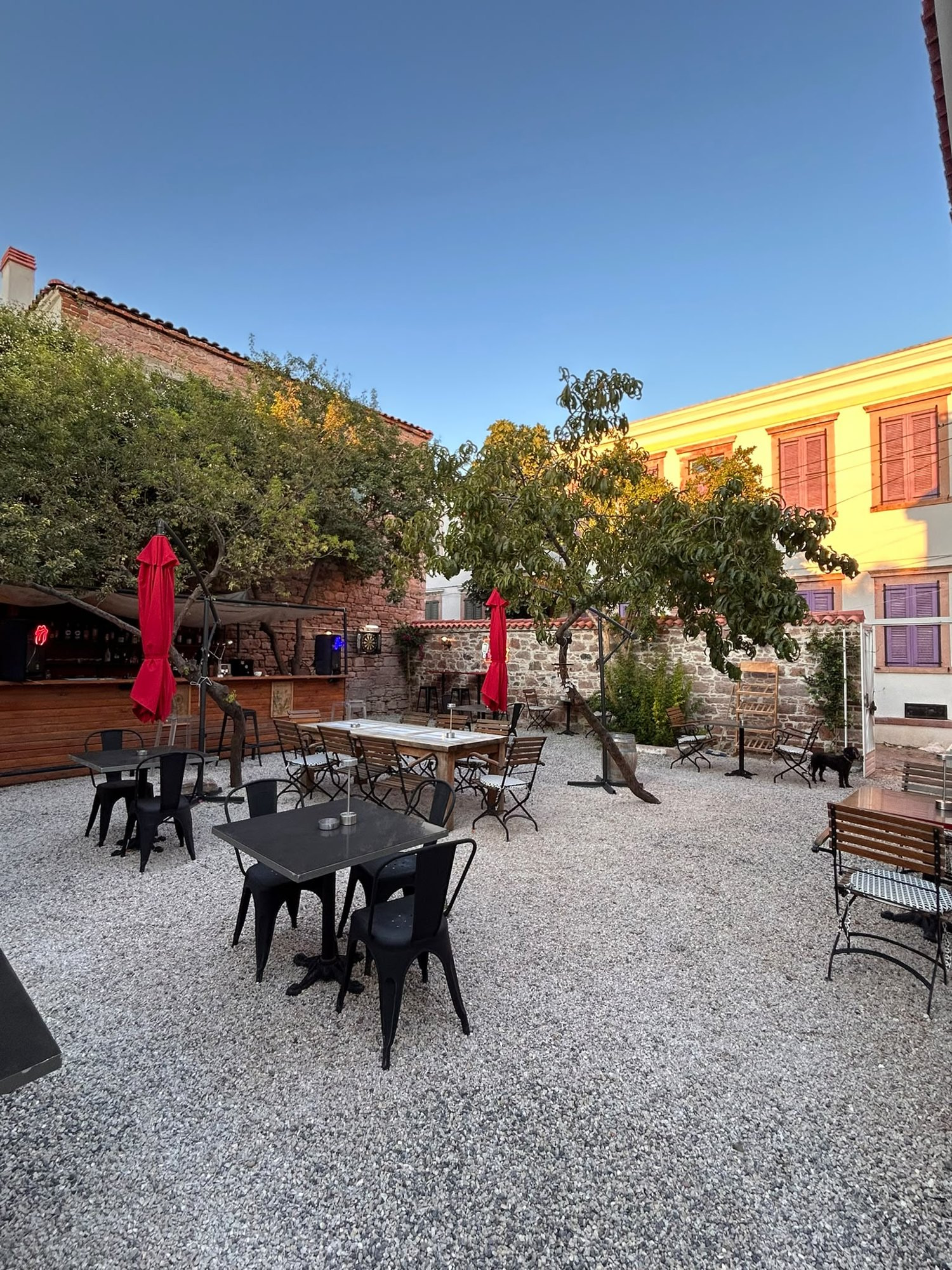 Sakin Guest House avlusu ve barı, Cunda